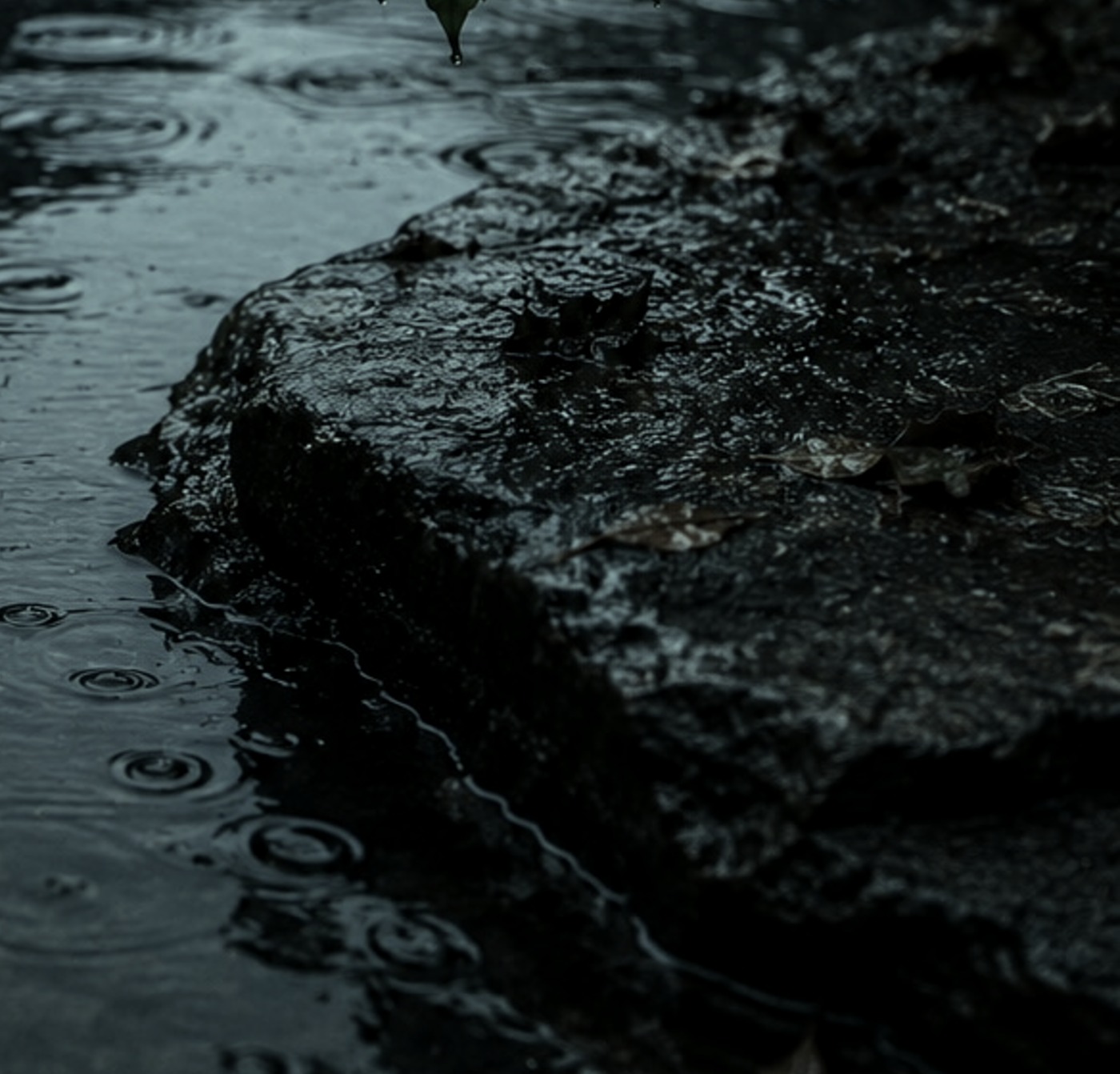Rain falling on still water
